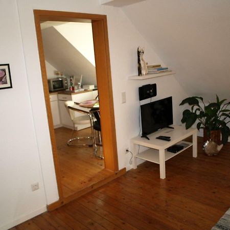 Ferienwohnung Klatschmohn ชไปยา ภายนอก รูปภาพ