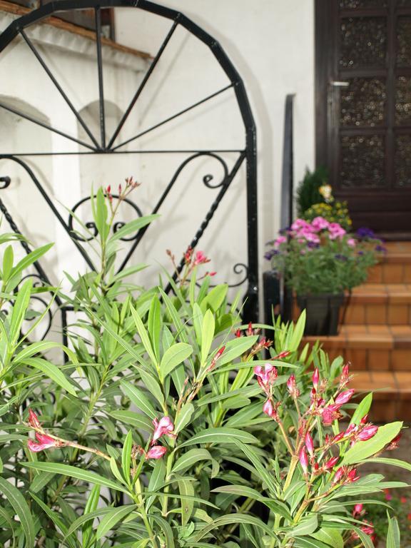 Ferienwohnung Klatschmohn ชไปยา ภายนอก รูปภาพ