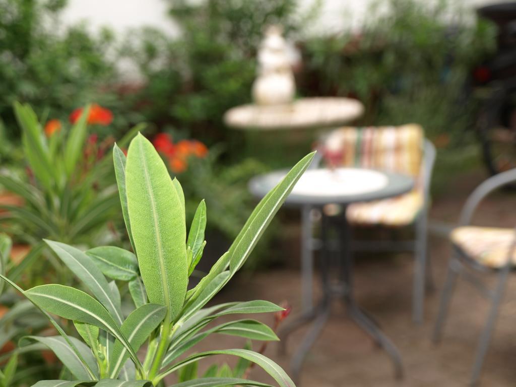 Ferienwohnung Klatschmohn ชไปยา ภายนอก รูปภาพ